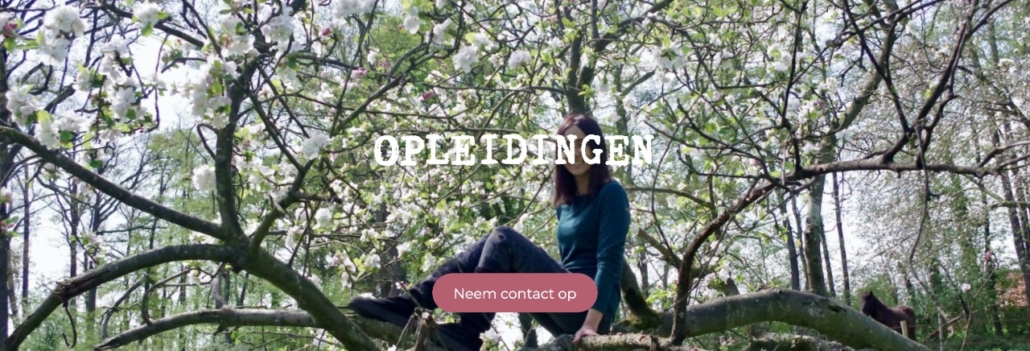 Opleidingen Het Reckveld